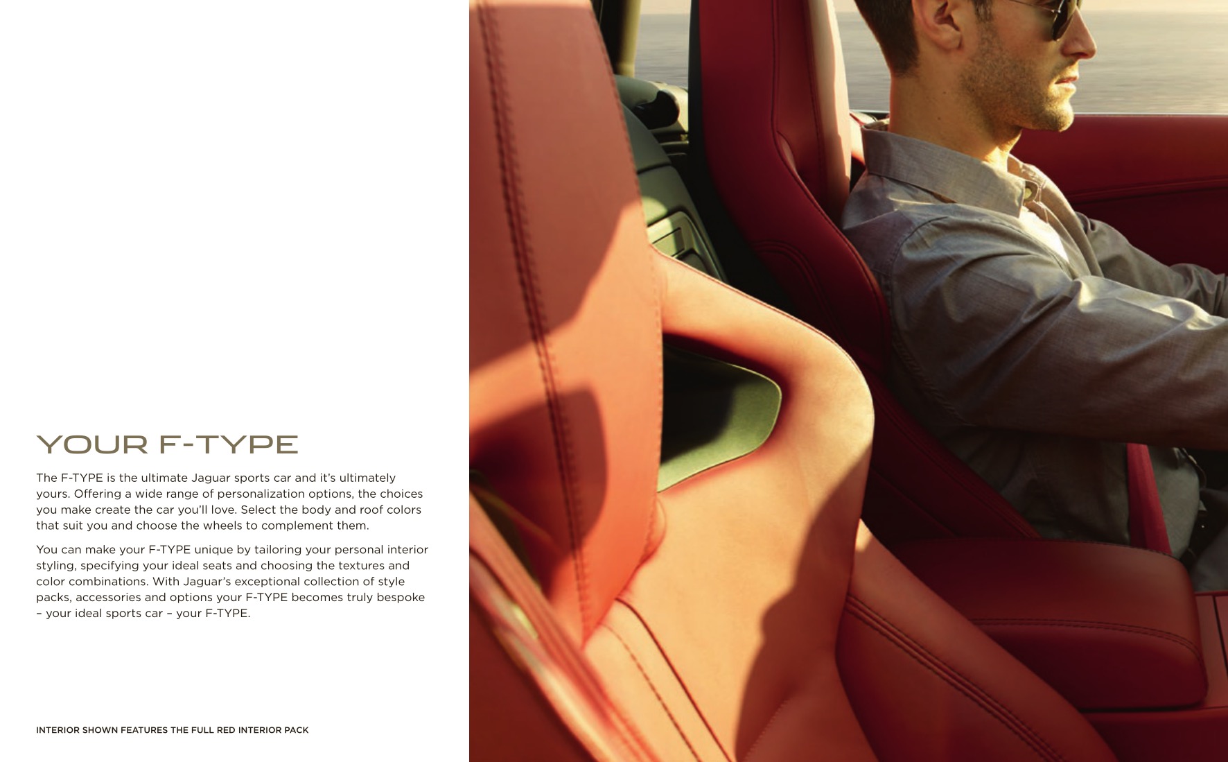 2016 Jaguar F-Type Brochure Page 51
